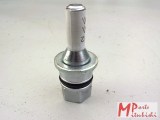 Gebraucht, Radschraube für Schließzylinder Reserverad, Mitsubishi Pajero V20/40W, Paje OEM MitsubishiSchrauben/Muttern, KFZ-Ersatzteil, MR267712